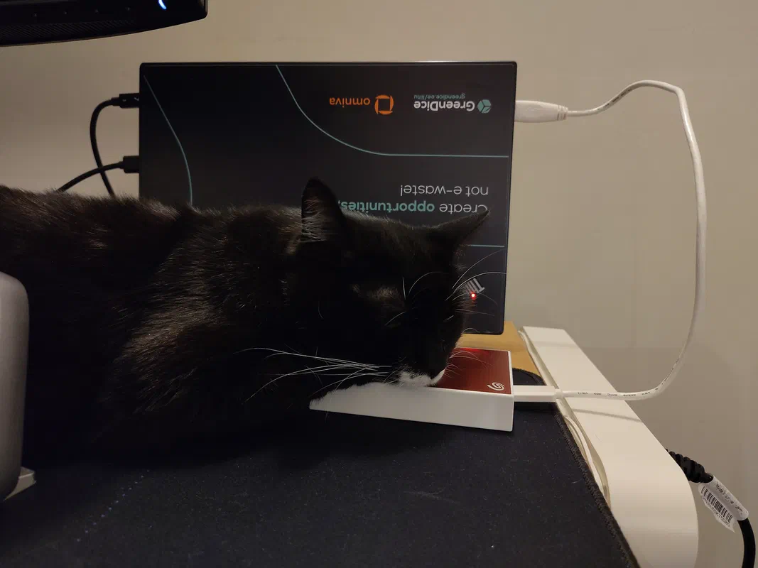 Cat picture of the day