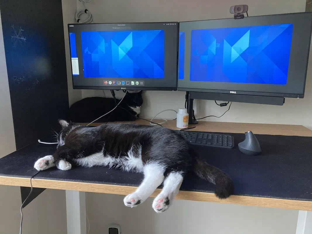 Find the server.