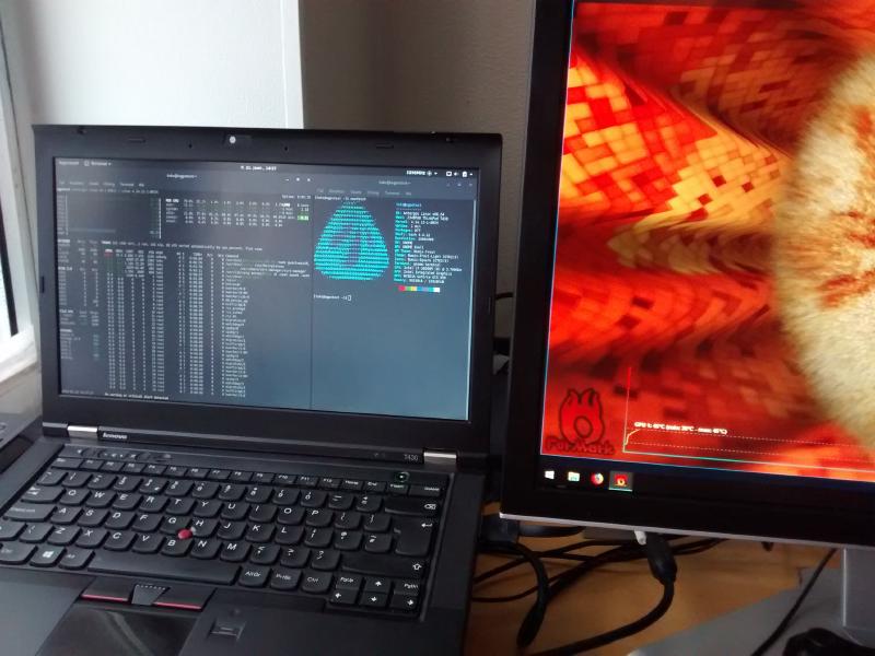 Antergos OS on the host, Windows 10 on the guest VM running Furmark.