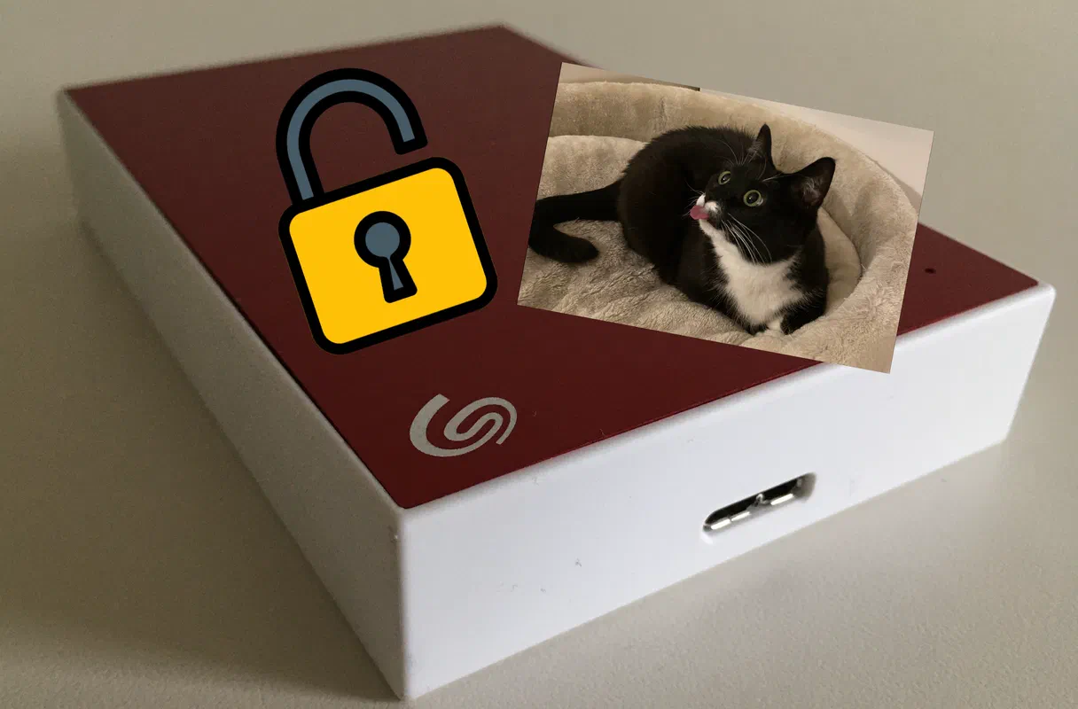 You can use almost anything as a key file for your encrypted storage device