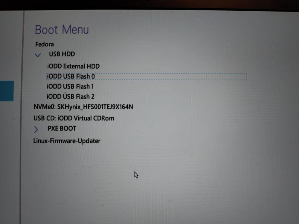 A ThinkPad P14s gen4 boot selection menu with the IODD device connected.