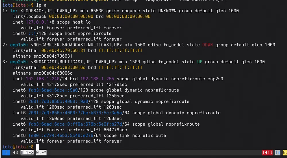 Detected network interfaces on Fedora Server 43. Both work!