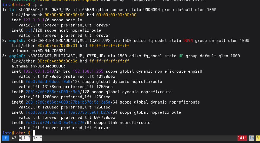 Detected network interfaces on Fedora Server 43. Both work!
