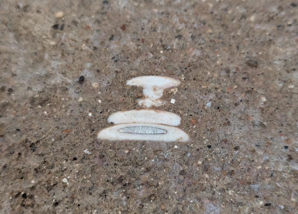 Things that you don't want to see: exposed electrical cables. Aluminium exposed electrical cables? Even worse.