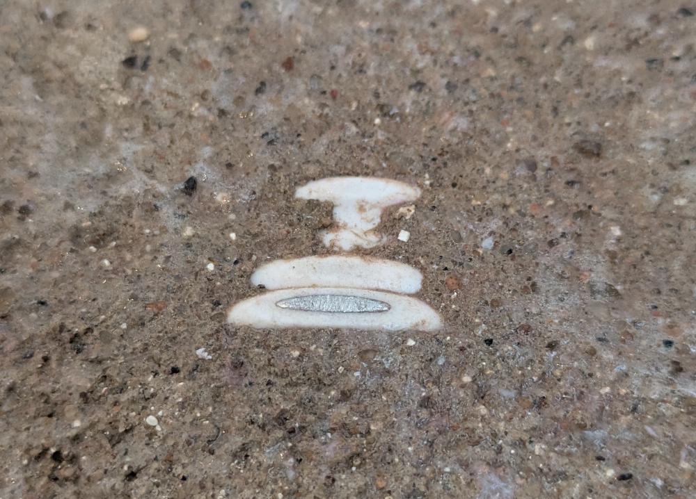 Things that you don't want to see: exposed electrical cables. Aluminium exposed electrical cables? Even worse.