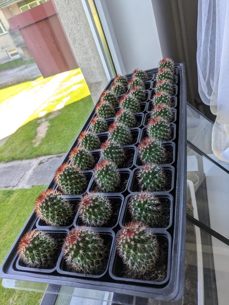 This isn't even all of them.