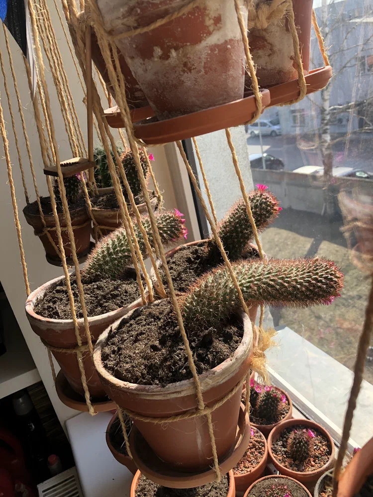 I had to get very creative with the available space that I had, so I hung some vertically using small rope.